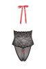 V Plunge Lace & Mesh Teddy Black OS