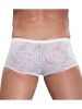 Male Power Mini Shorts Stretch Lace White XL